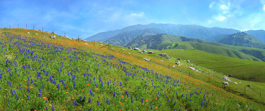 Arvin Hills Panorama Photograph by Lynn Bauer