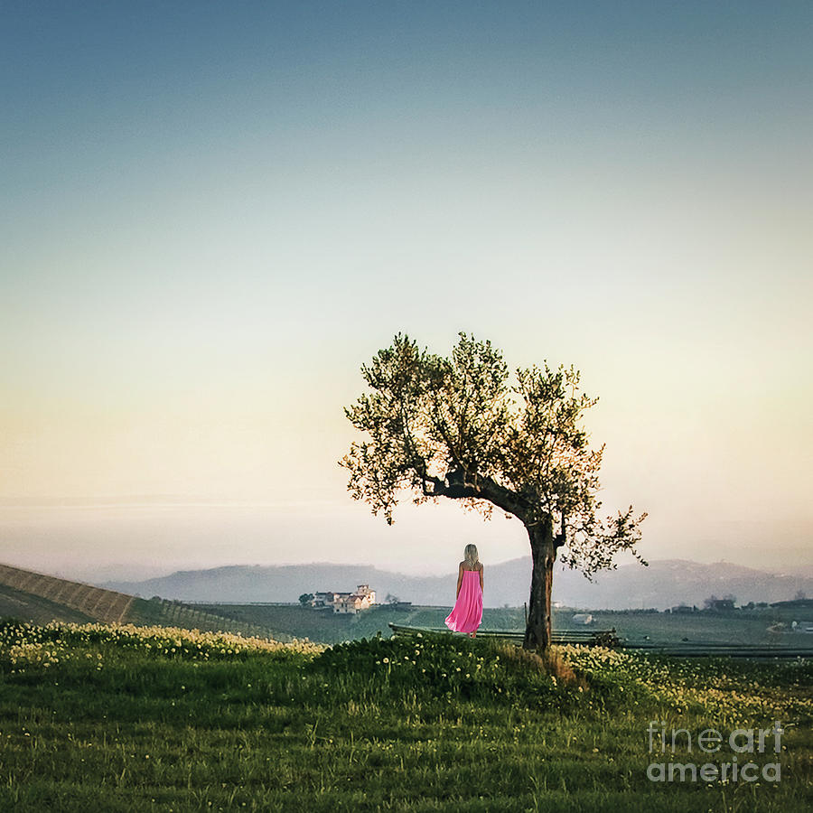 Kremsdorf Photograph - As I Survey The Wonderous... by Evelina Kremsdorf Kremsdorf Photograph - As I Survey The Wonderous... by Evelina Kremsdorf