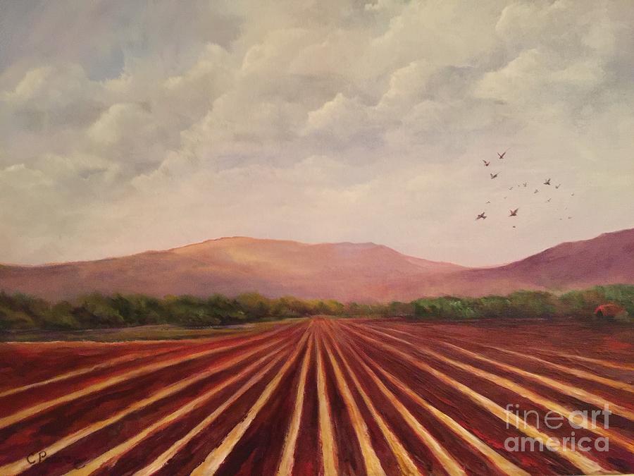 As the Crow Flies by Connie Pearce As the Crow Flies by Connie Pearce