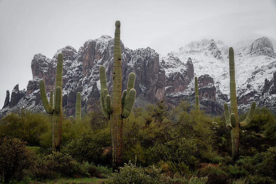 As The Snow Falls On The Superstitions  Photograph by Saija Lehtonen