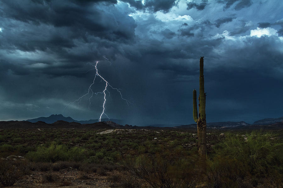 As The Storm Arrives by Saija Lehtonen As The Storm Arrives by Saija Lehtonen