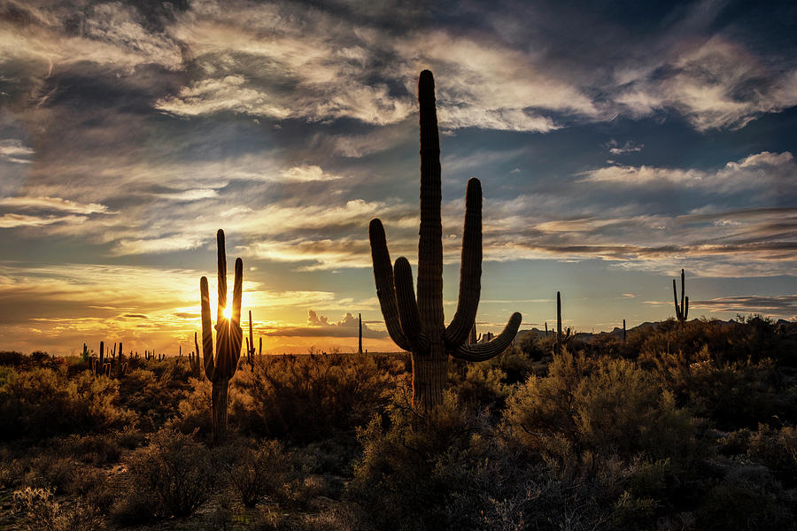 As The Sun Sets On Arizona Photograph by Saija Lehtonen | Fine Art America