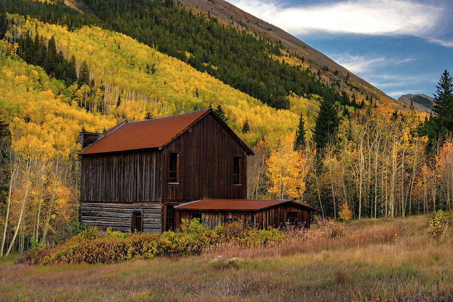 Ashcroft Barn in Autumn Colors Photograph by Norma Brandsberg