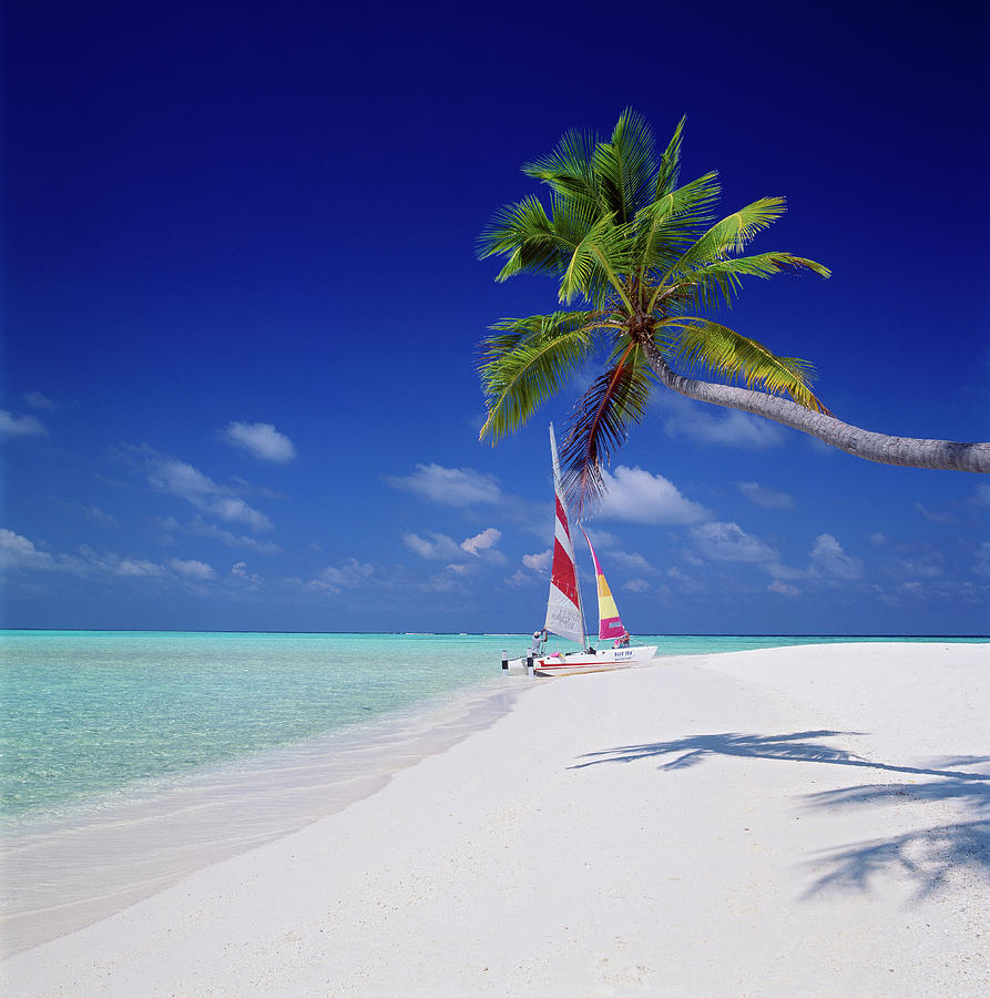 Asia, Maldives, Catamaran On Beach Digital Art by Johanna Huber
