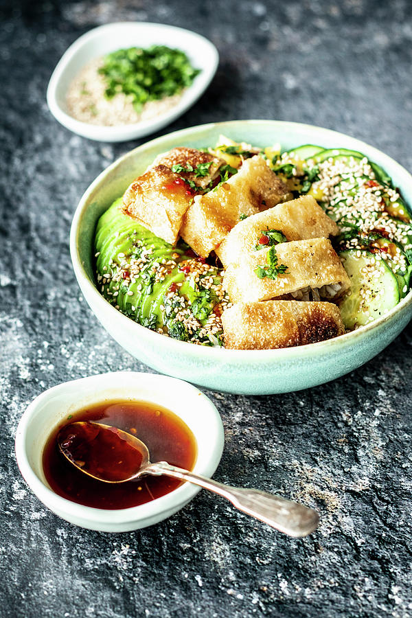 Asian Bowl With Spring Rolls And Sweet And Sour Sauce Photograph by Simone Neufing