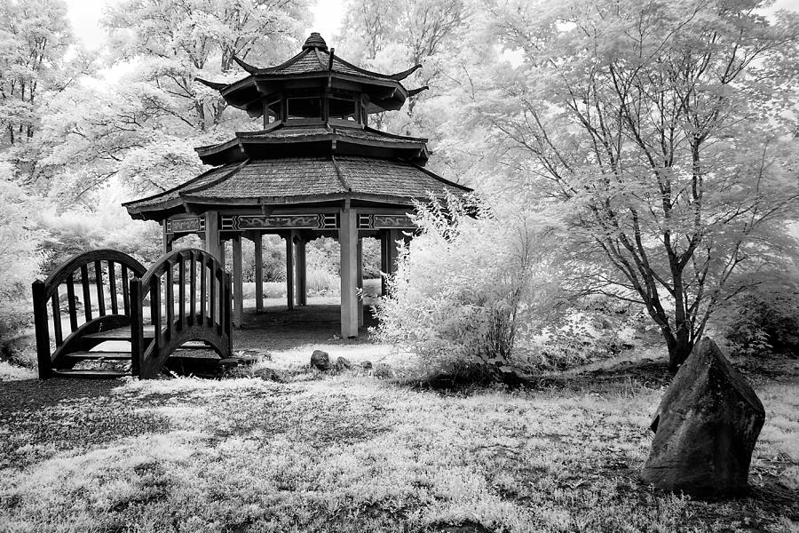 Tree Photograph - Asian Garden by Klaus Bauer