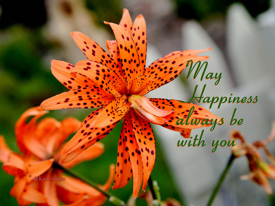 Asian Tiger Lily with Cheery Thought Photograph by Kae Cheatham