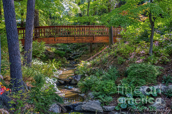 Asiatic Bridge by James Foshee Asiatic Bridge by James Foshee