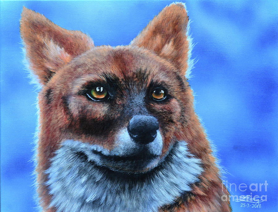 Dhole Painting - Asiatic Dhole by Elise Wong Dhole Painting - Asiatic Dhole by Elise Wong