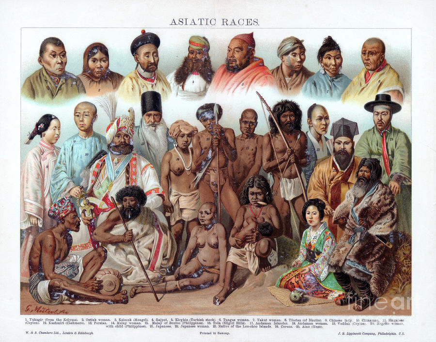 Asiatic Races, 1800-1900.artist G Mutzel Drawing by Print Collector
