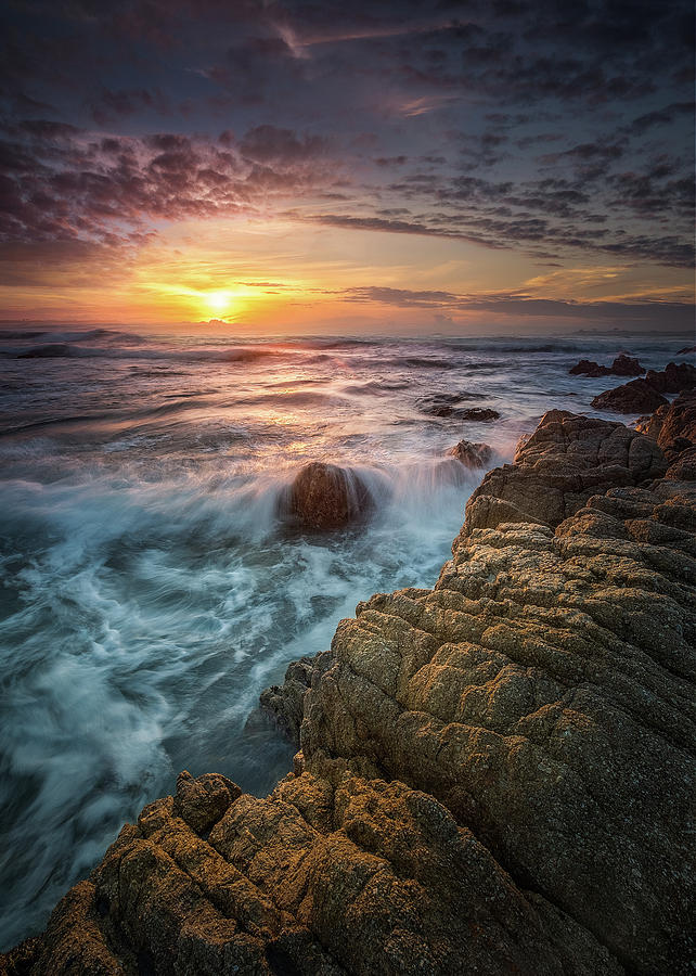 Asilomar State Beach Photograph by Ken Fong - Fine Art America