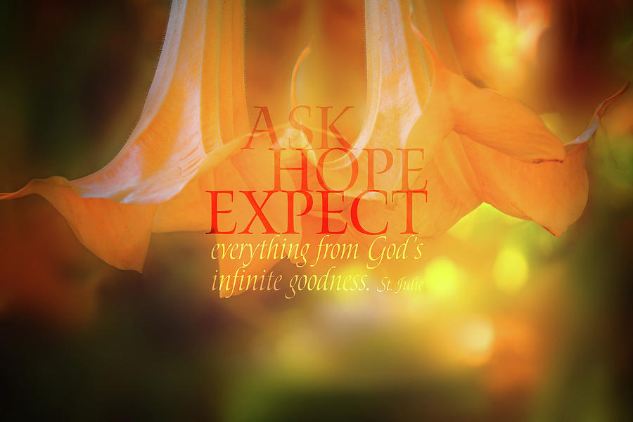 Ask Hope Expect Flower Digital Art by Terry Davis