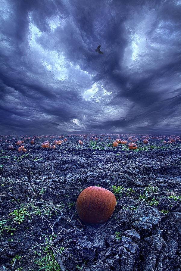 Ask Not When The Thunder Comes Photograph by Phil Koch