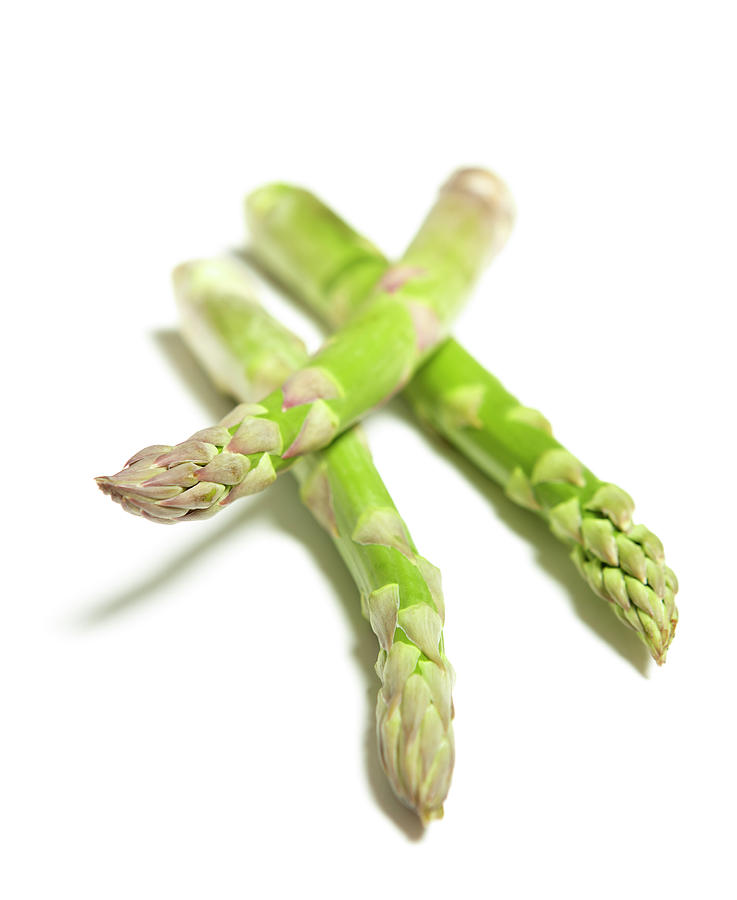Asparagus Photograph by Jonathan Paciullo