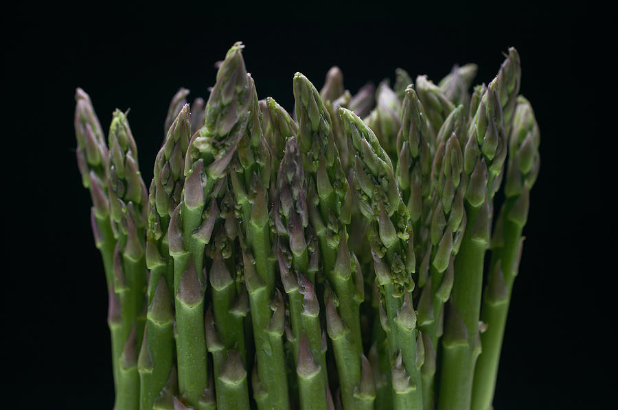 Asparagus Photograph by Takao Shioguchi