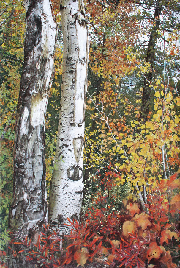 Tree Painting - Aspen Duo by Carol J Rupp