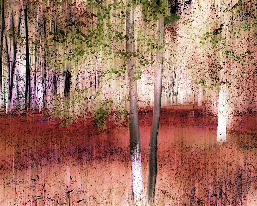 Aspen Forest Light Digital Art by Ann Johndro-Collins