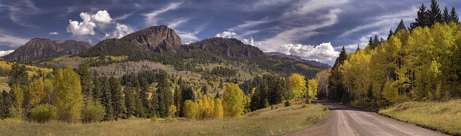 Aspen in Colorado Photograph by Mark Langford