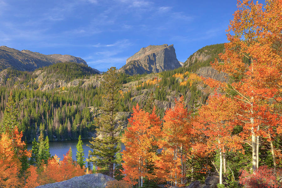 Aspen over Bear Lake in Rocky Mountain National Park 1022 Photograph by ...