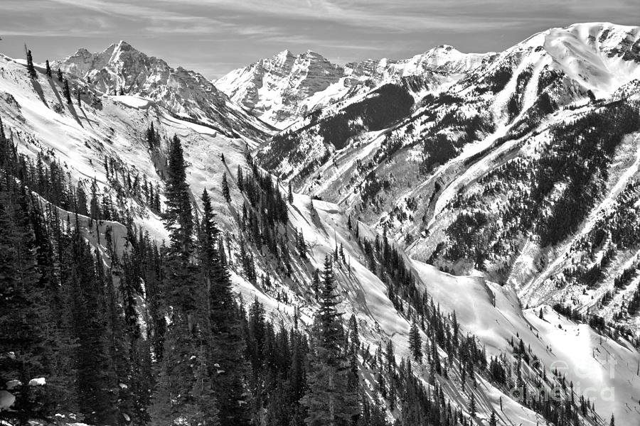 Aspen Peaks Above The Treeline Black And White Photograph by Adam Jewell