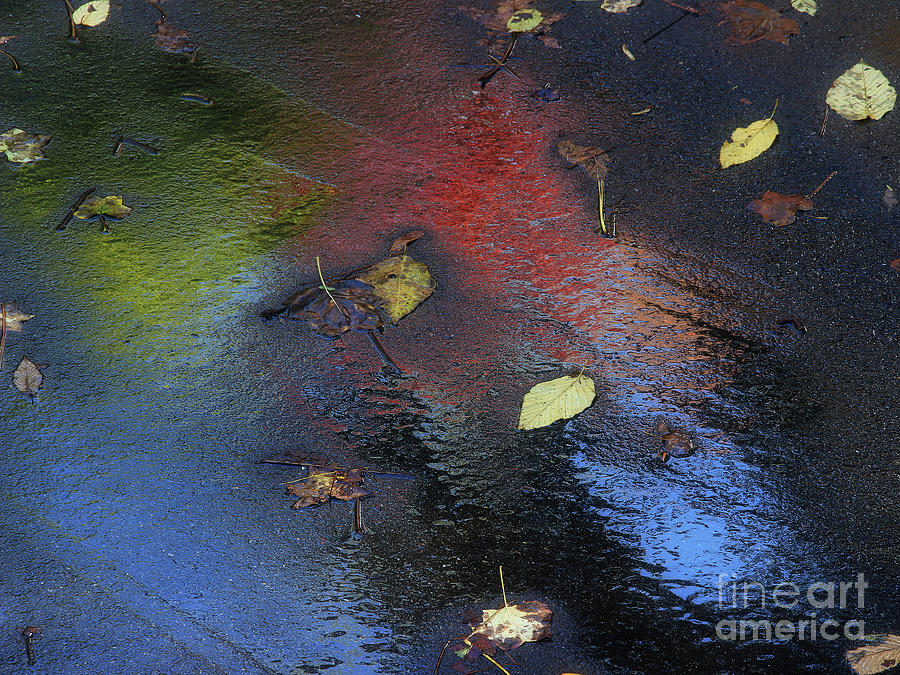 Asphalt Autumn Photograph by Mike Eingle