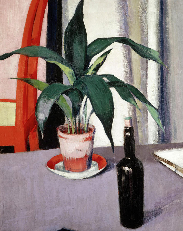 Wine Painting - Aspidistra and Bottle on Table by Francis Cadell