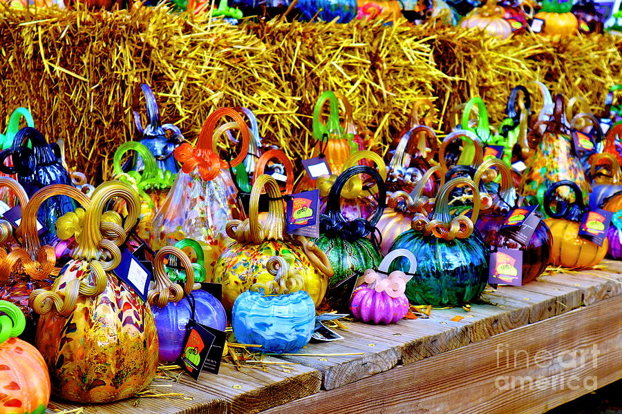 Glass Pumpkin 3 Pumpkin Fest, Morton Arboretum, Lisle IL Photograph