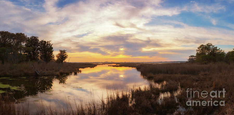 Assateague Marsh Sunset  Photograph by Michael Ver Sprill