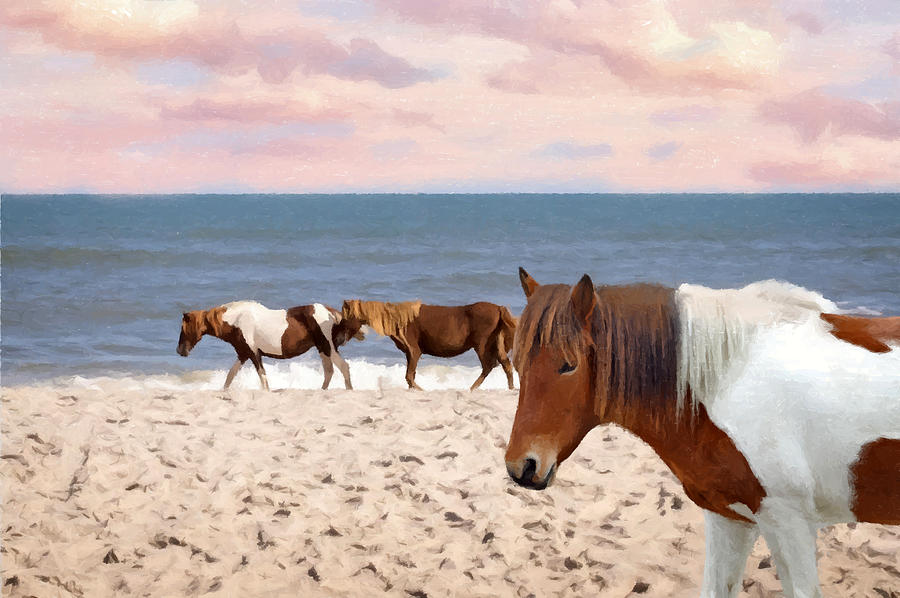Assateague Ponies At Sunset Digital Painting Photograph by Sandi OReilly
