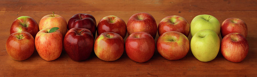 Assorted Apples Photograph by Jim Scherer