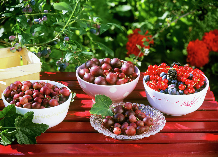 Assorted Berries In Small Bowls On A Garden Table Photograph by Strauss, Friedrich