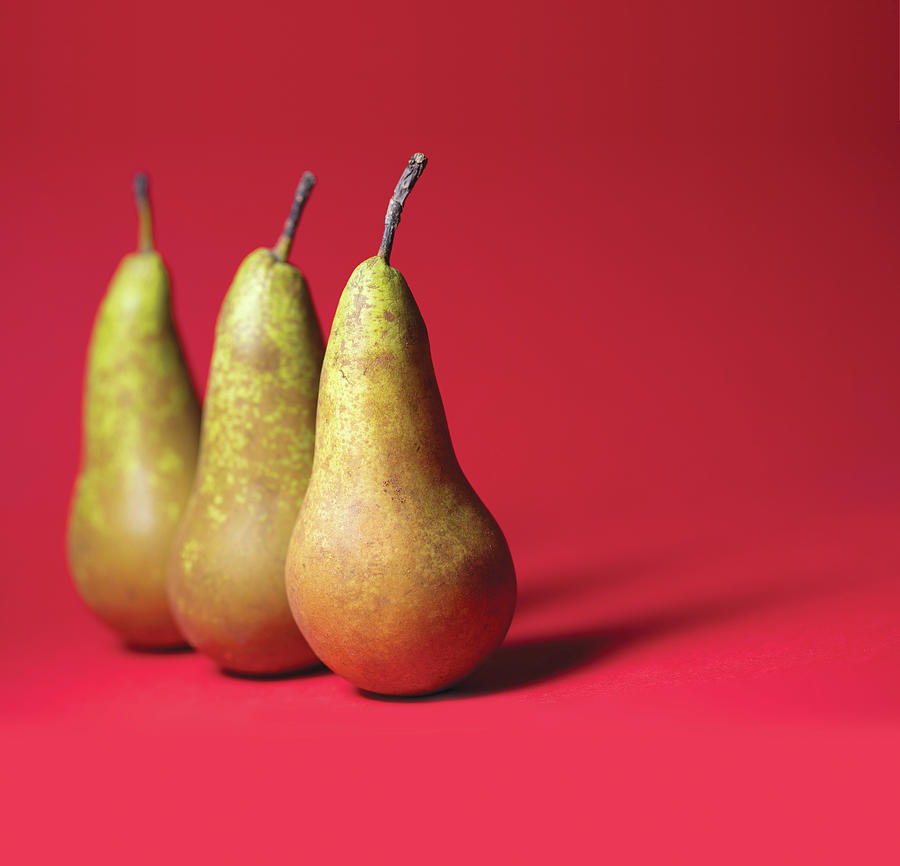Assorted Flora And Fruit Photograph by N-photo Magazine Assorted Flora And Fruit Photograph by N-photo Magazine