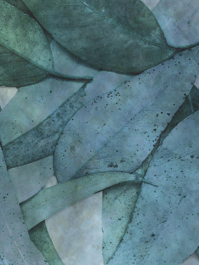 Assorted Leaves Digital Art by Don Bishop