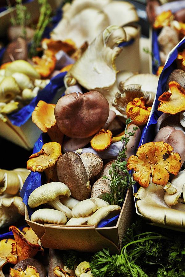 Assorted Mushrooms In Wooden Baskets With Blue Paper Photograph by Tim Atkins Photography