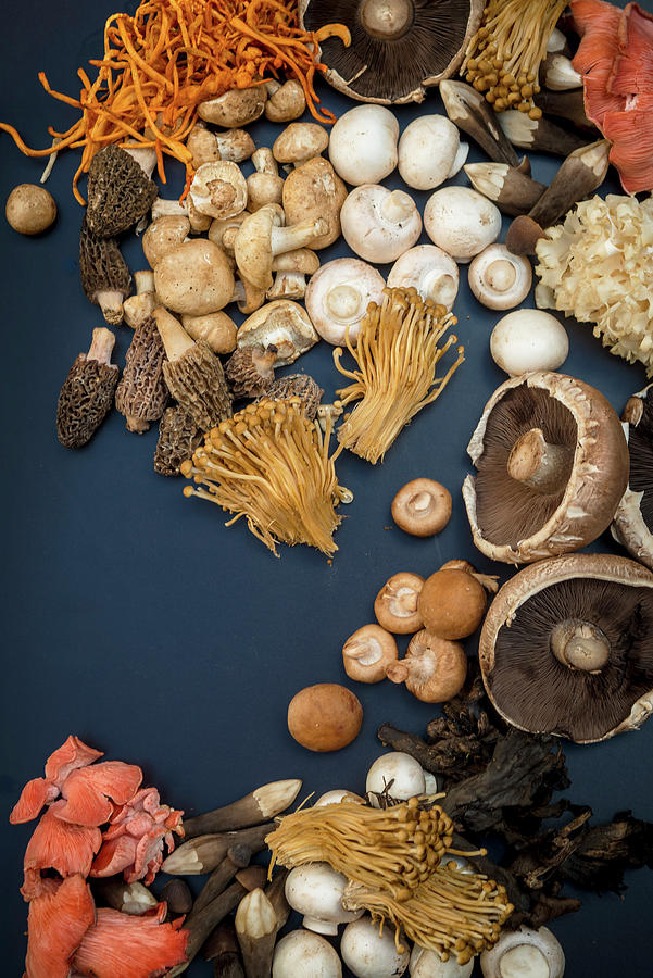 Assorted Mushrooms On A Dark Background Photograph by Nitin Kapoor