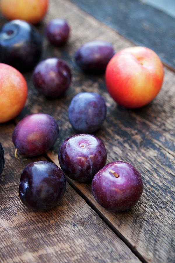 Assorted Plums Photograph by Victoria Firmston