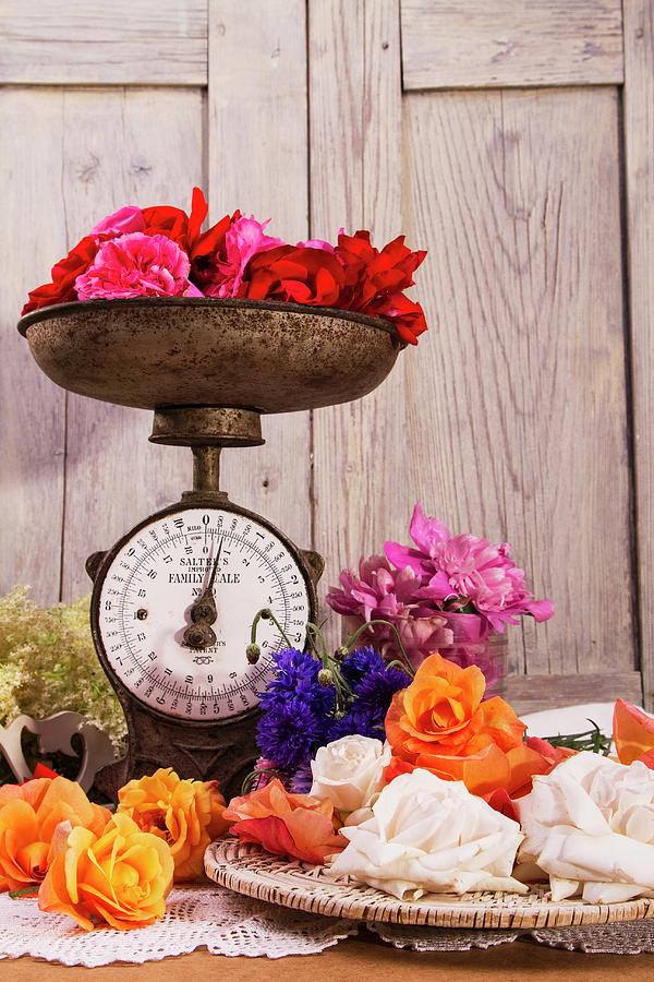 Assorted Roses With A Set Of Old Kitchen Scales Photograph by Monika Halmos