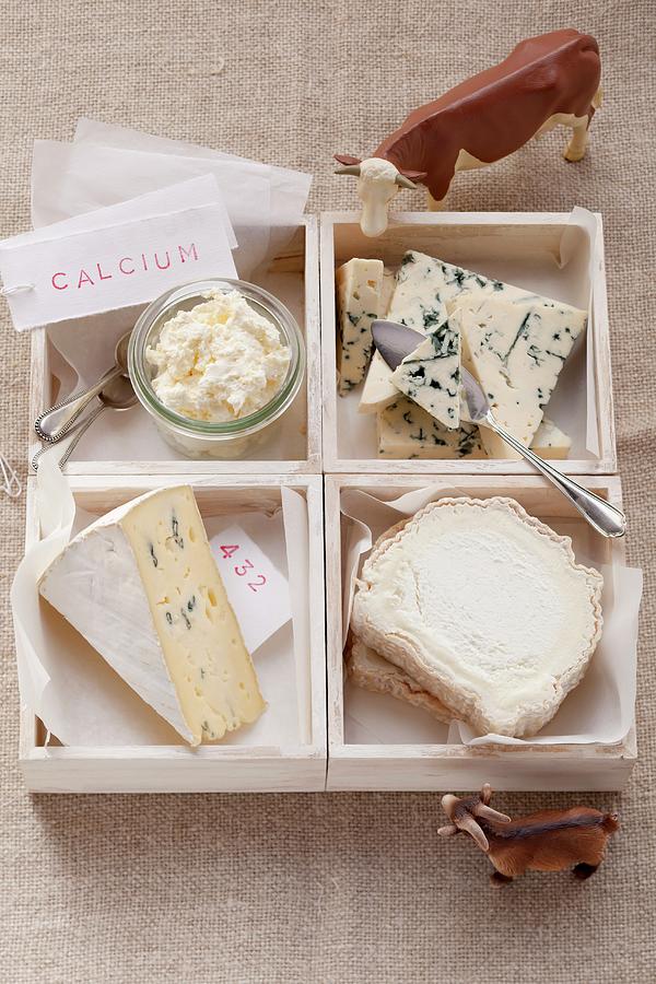Assorted Types Of Cheese With A Sign Reading calcium Photograph by Eising Studio - Food Photo & Video