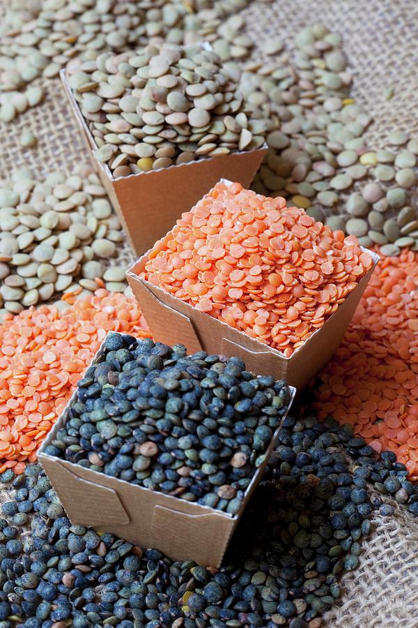 Assorted Types Of Lentils, Some In Cardboard Containers Photograph by Hilde Mche
