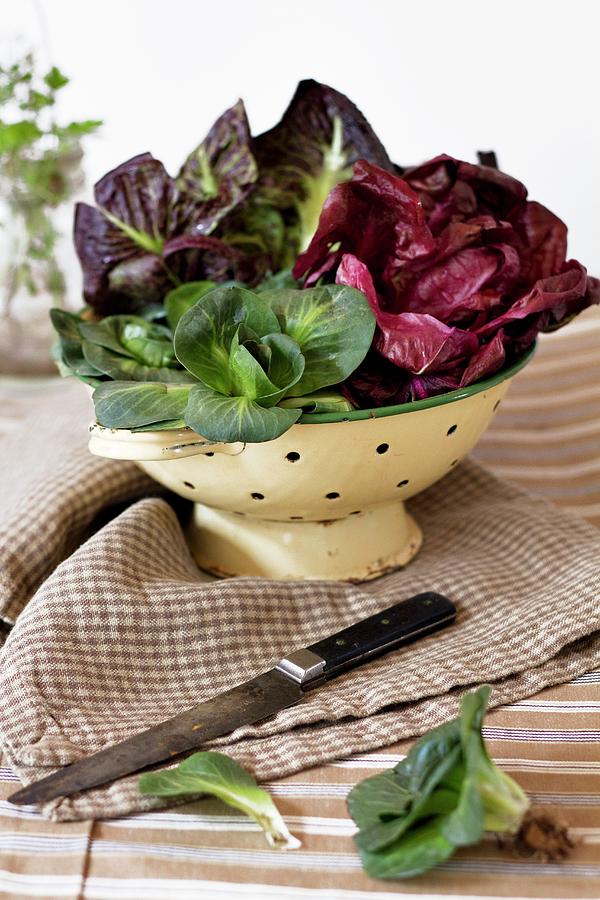 Assorted Types Of Radicchio In A Colander Photograph by Sjoberg, Marie