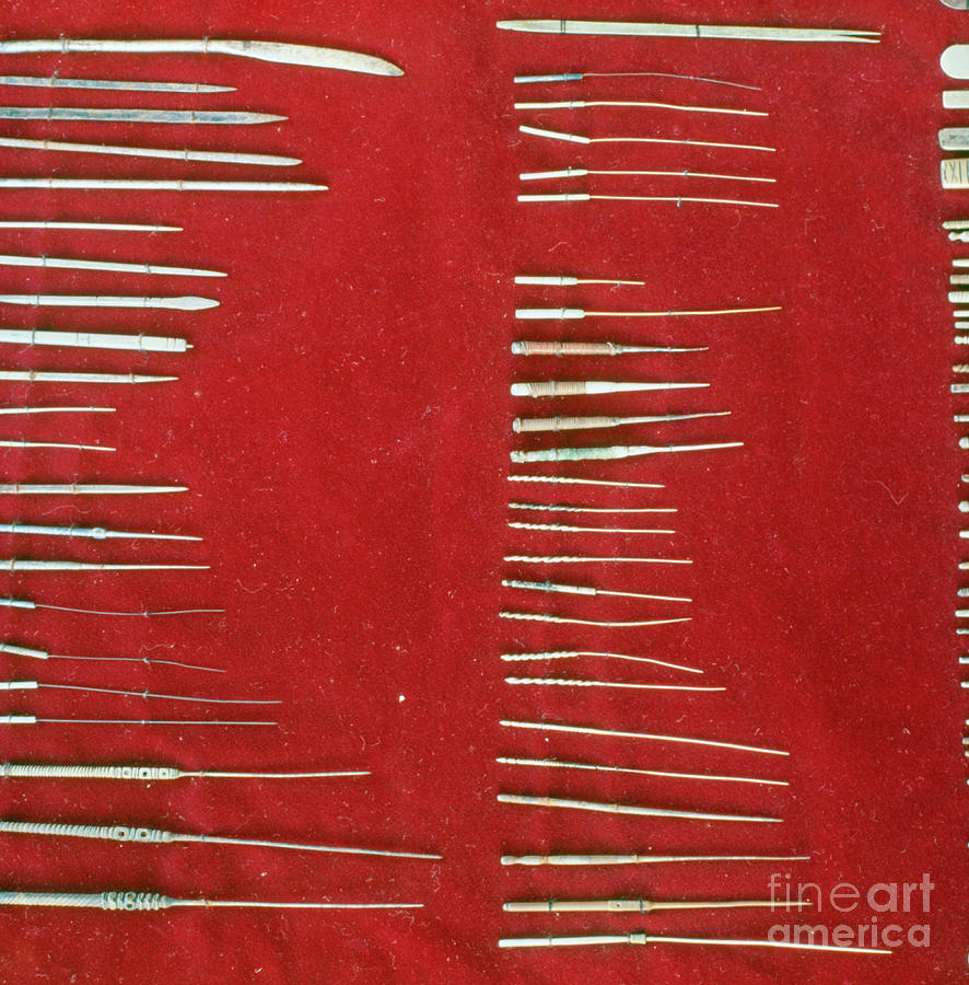 Assortment Of Acupuncture Needles Photograph by Mark De Fraeye/science Photo Library