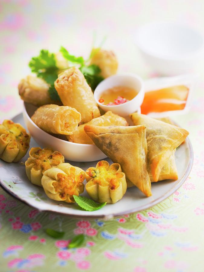 Assortment Of Asian Fried Appetizers Photograph by Roulier-turiot