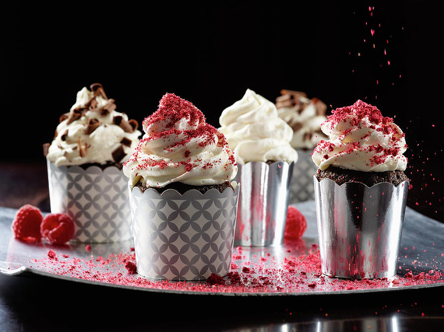 Assortment Of Chocolate Cupcakes Photograph by Leo Gong