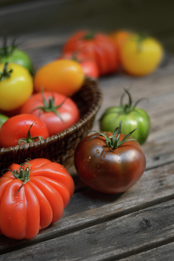 Assortment Of Different Colored Tomatoes Photograph by Kerouédan - Fine ...