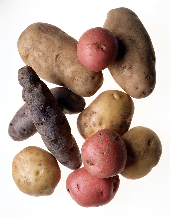 Assortment Of Potatoes Photograph by Brian Hagiwara