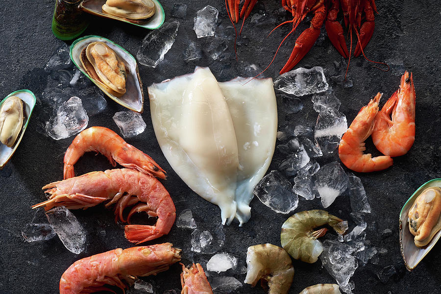 Assortment Of Various Raw Seafood - Shrimps, Kiwi Mussels, Squid And Crawfish On Ice Photograph by Anastasiia Nurullina