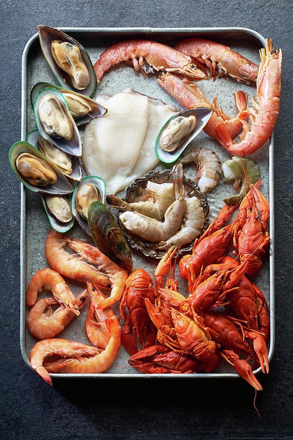 Asssortment Of Various Raw Seafood - Shrimps, Kiwi Mussels, Squid And Crawfish Photograph by Anastasiia Nurullina