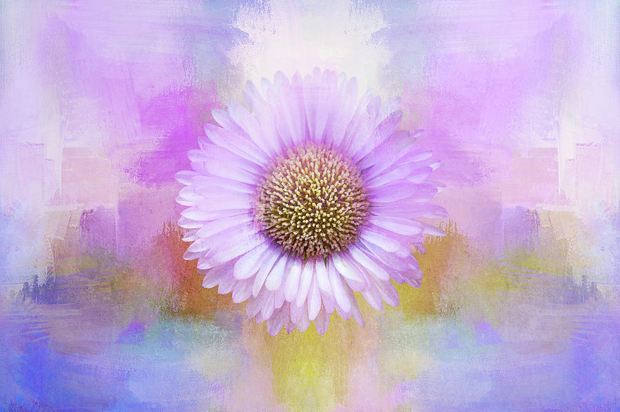 Aster Painting Digital Art by Terry Davis