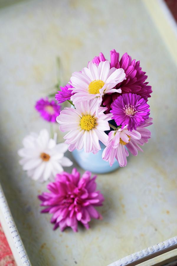 Asters And Chrysanthemums In Blue Vase Photograph by Mandy Reschke
