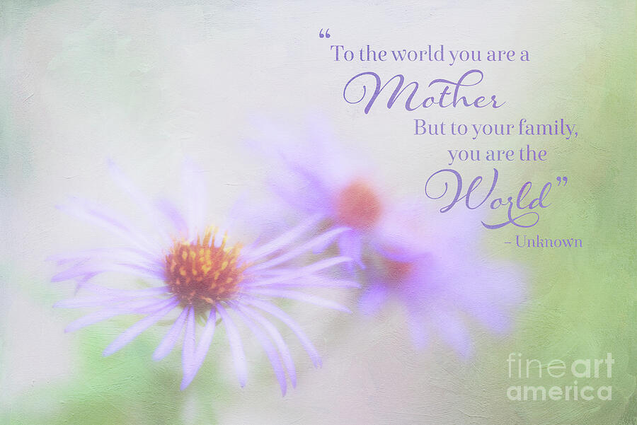 Asters For Mother's Day by Anita Pollak Asters For Mother's Day by Anita Pollak